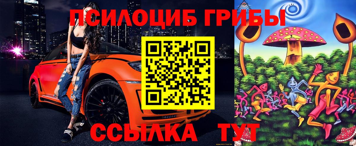 Псилоцибиновые грибы мицелий Новокуйбышевск