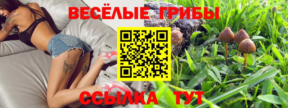Галлюциногенные грибы Cubensis  Вход с VPN  Новокуйбышевск  Галлюциногенные грибы GOLDEN TEACHER 